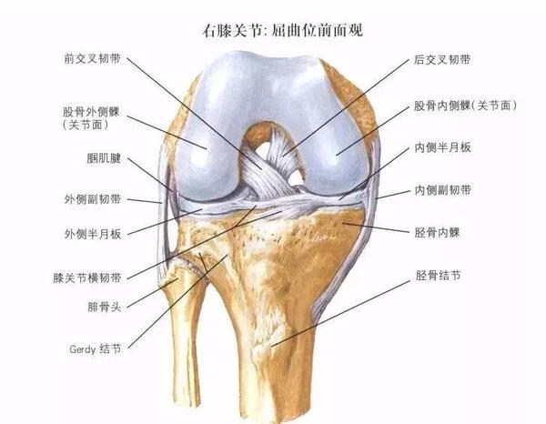 微信图片_20181222230549.jpg4.jpg