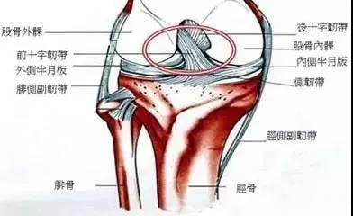 微信图片_20181222230228.jpg4.jpg