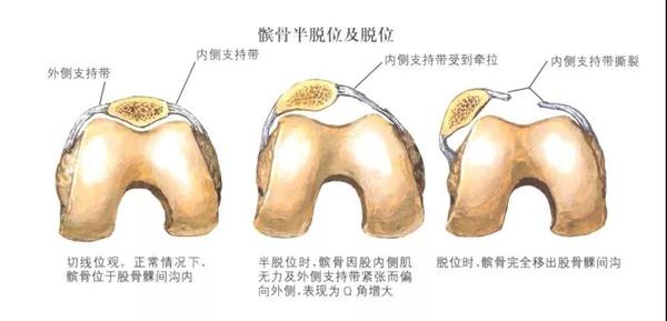 微信图片_20181222230555.jpg5.jpg