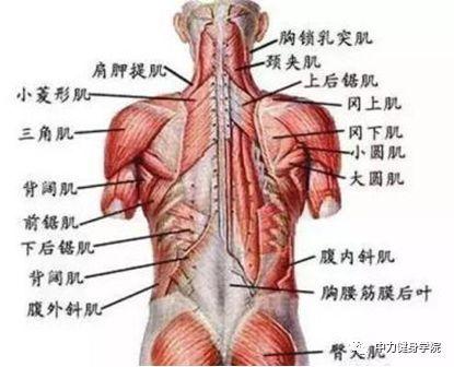 u=126281508,90603367&fm=173&app=25&f=JPEG.jpg
