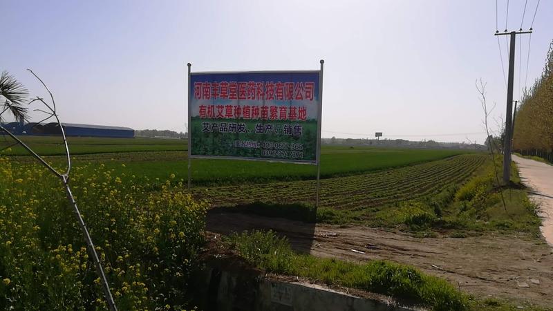 微信图片_20180408154818.jpg